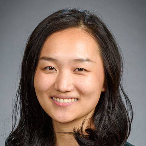 Lei Lei Wu